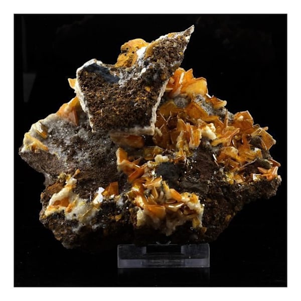 Kivet ja mineraalit - ABIJOUX - Wulfenite - 2550,5 ct - Los Lamentos Mts, Chihuahua, Meksiko