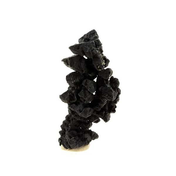 Sten og mineraler. Acanthit. 131,0 øre. Imiter Mine, Drâa-Tafilalet, Marokko.