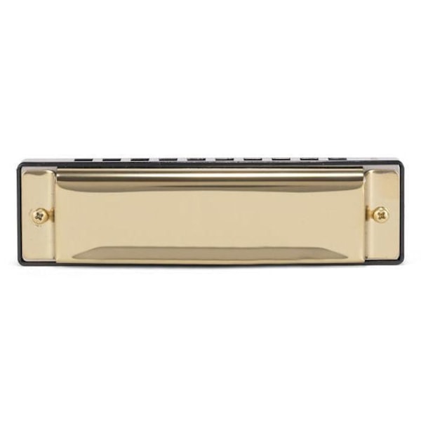 Harmonika til gør-det-selv Beige