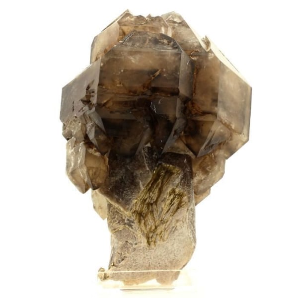 Sten og mineraler. Røget scepterkvarts (1,9 kg). 9482,0 ct. Minas Gerais, Brasilien.