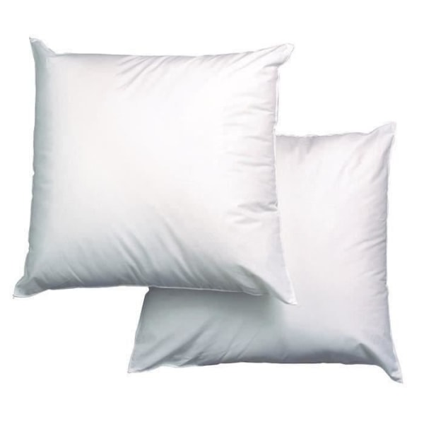 BLANREVE Set med 2 trippelskyddskuddar - 60 x 60 cm - Vit Vit