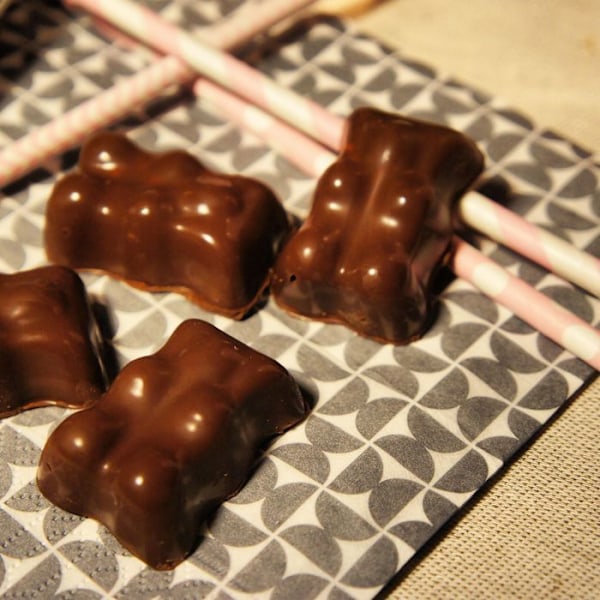 14 skumfidus-chokoladebjørne silikoneforme