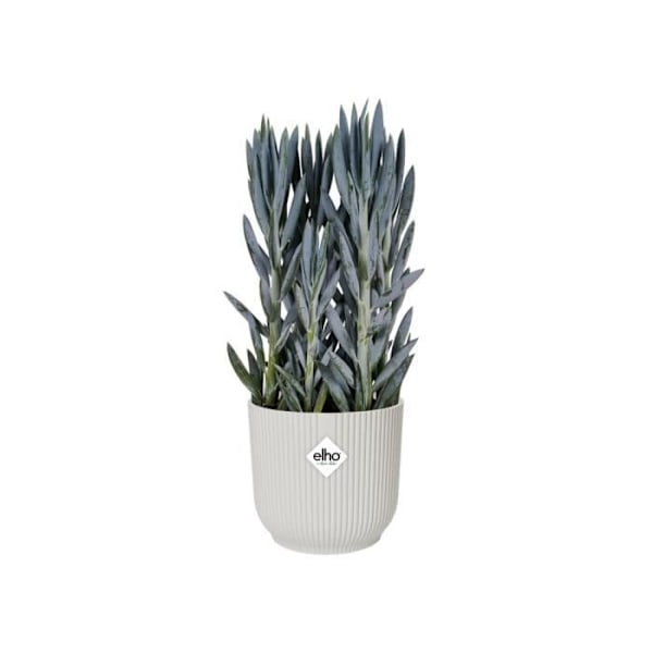 ELHO Vibes Fold Rund urtepotte Hjul 35 - Hvid - Ø 35 x H 32 cm - indvendig - 100% genanvendt Vit