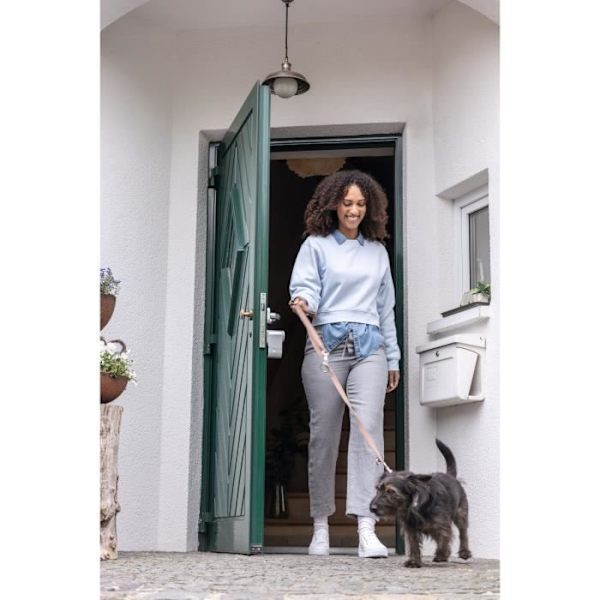 Motoriserad låda - ABUS - LOXERIS One CFA4100 S - Bluetooth - Silver Pengar