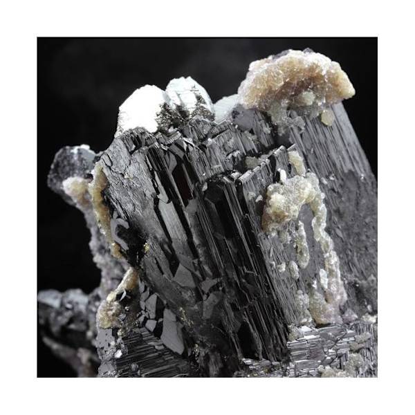 Sten og mineraler. Wolframit, Kvarts, Siderit, Pyrit. 3680,0 øre. Panasqueira-minerne, Portugal.