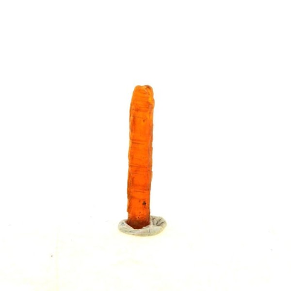 Kivet ja mineraalit - ABIJOUX - Oranssi kyaniitti - 2,76 ct - Sangulungulu Hill, Loliondo, Tansania Orange