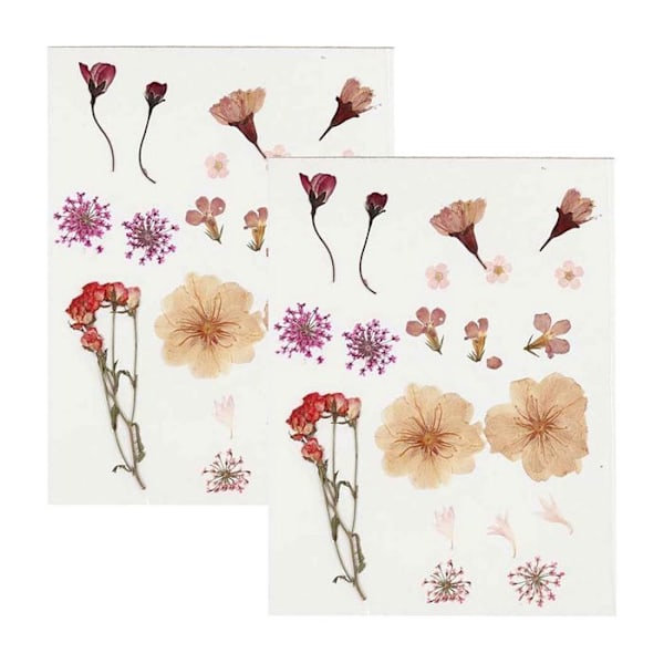 40 tørrede og pressede blomster - Lyserød Rosa