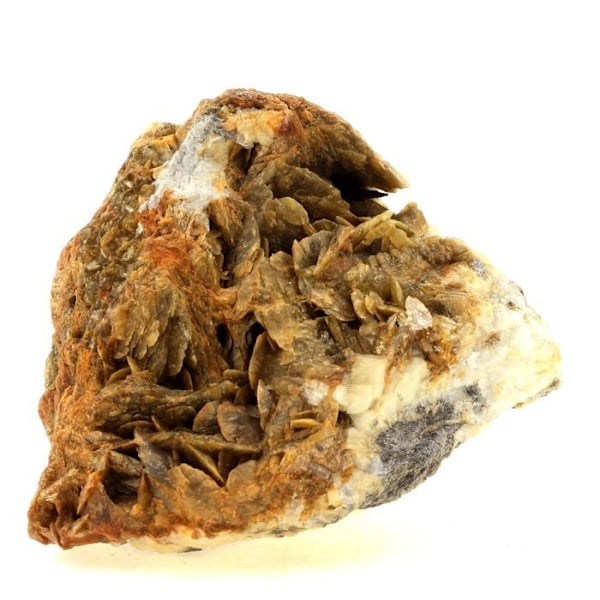 Stenar och mineraler. Siderit + Dolomit. 2326,80 cent. La Mure, Isère, Frankrike.