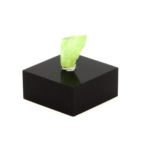 Stenar och mineraler. Peridot. 2,40 cent. Skardu-distriktet, Baltistan, Pakistan.