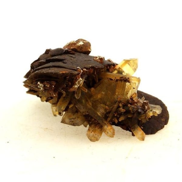Sten og mineraler. Siderit + Kvarts + Pyrit. 64,0 ct. Saint-Pierre-de-Mésage, Frankrig.