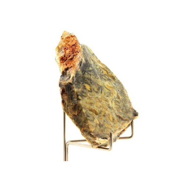 Sten og mineraler. Dendritisk opal. 404,45 øre. Lightning Ridge, New South Wales, Australien.