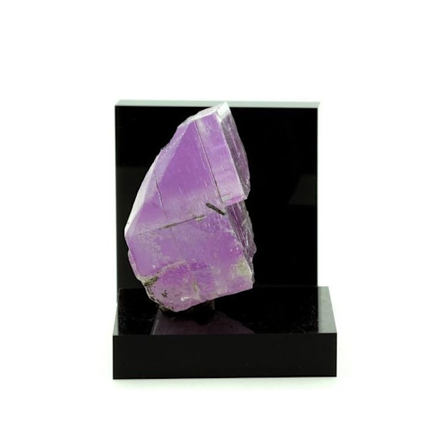 Kunzite 729,7 karat