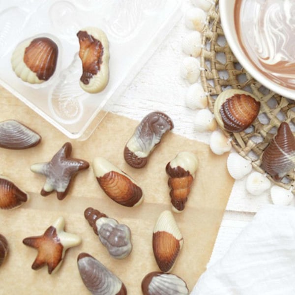 Chokoladeform - SCRAPCOOKING - Stegt - Stiv - Polypropylen - 16 cm Transparent