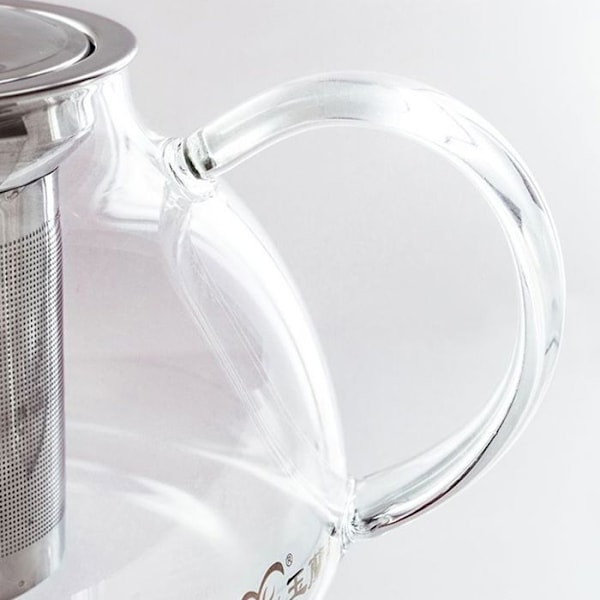 Glas teekande med filter i rustfrit stål - 0,8 L Transparent