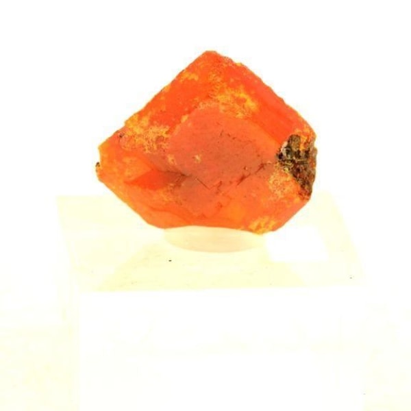 Sten og mineraler. Wulfenit. 34,24 øre. Red Cloud Mine, La Paz Co., Arizona, USA.