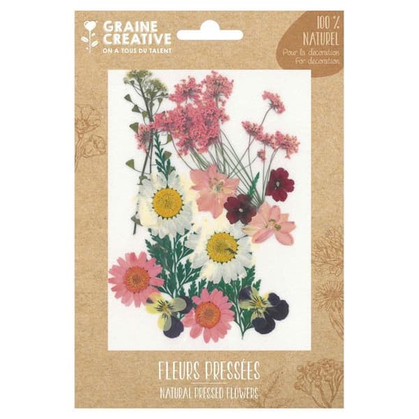 16 pressade blommor - rosa äng Ros