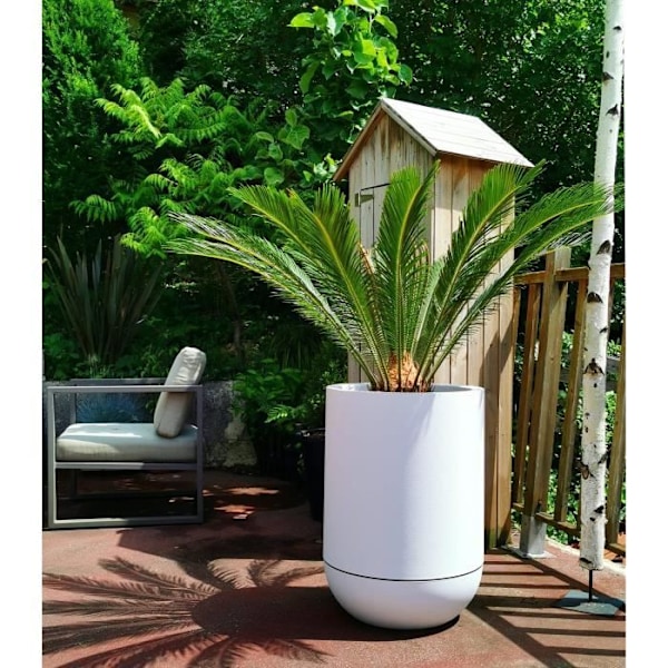 RIVIERA GRANIT TULIPE rund blomsterkasse - Plast - Diameter 50 cm - Hvid Vit