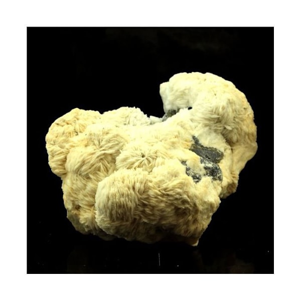 Sten og mineraler. Baryt. 2619,0 ct. Les Cèdres, Saint-Laurent-le-Minier, Occitanie, Frankrig.
