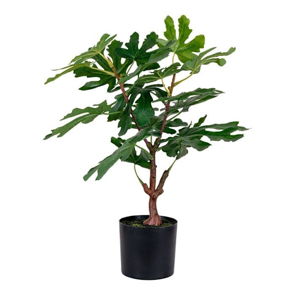 Kunstigt figentræ 50 cm Grön