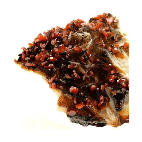 Sten og mineraler. Vanadinit. 726,0 øre. Mibladen Mining District, Midelt, Marokko.