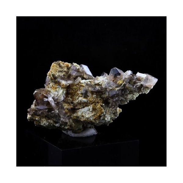 Stenar och mineraler. Axinit. 80,5 cent. La Balme d'Auris, Bourg d'Oisans, Isère, Frankrike..