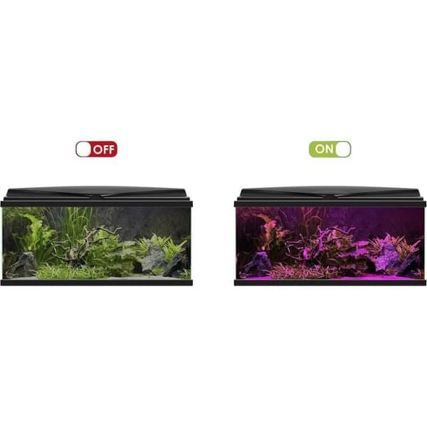 Planter Rampe LED - CIANO - Convert. Aqua 60 80 LED Blå