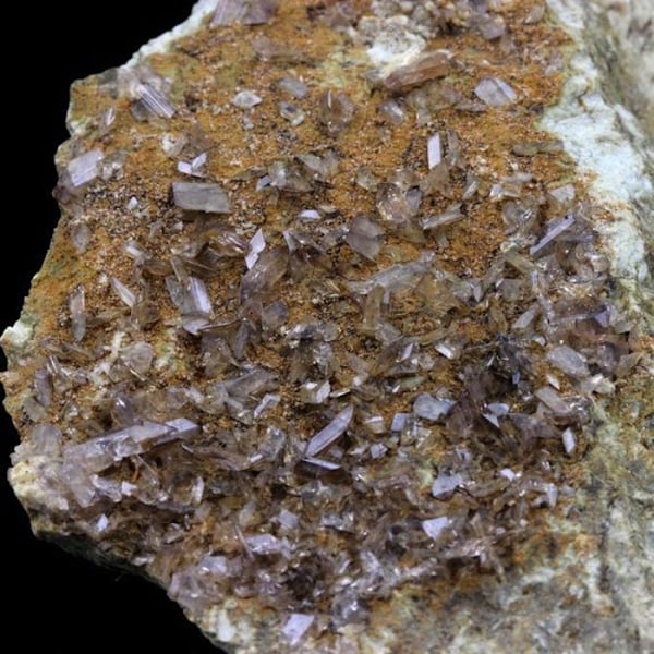 Sten og mineraler. Aksinitis. 745,5 øre. La Balme d'Auris, Bourg d'Oisans, Isère, Frankrig..