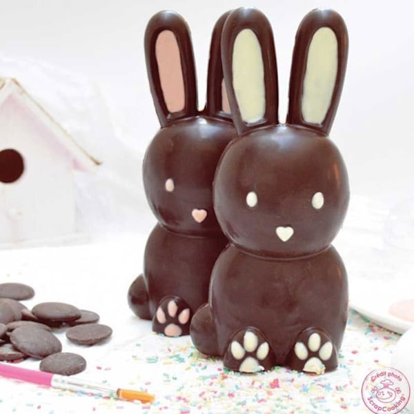 3D Rabbit -suklaamuotti Transparent