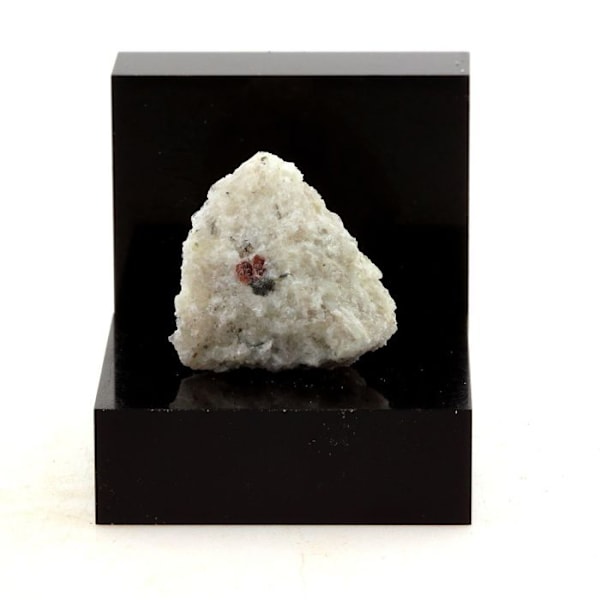 Sten og mineraler. Granatskifer. 14,26 ct. Willsboro, New York, USA. Flerfärgad