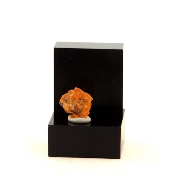 Spessartite Granat - ABIJOUX - Vedhæng - Krog - 2,80 ct - Orange