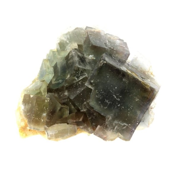 Sten og mineraler. Fluorit. 1257,0 øre. Avellan mine, Var, Frankrig.