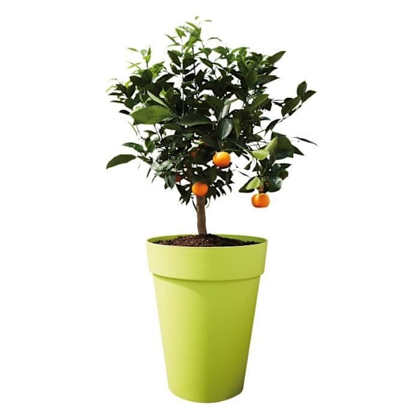 Elho Plast Urtepotte Rund Loft Urban Hvid Ø 34 x 45,6 cm 23 l