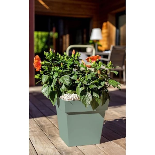 EDA Blomsterkrukke kvadratisk Toscana 22 L - Bredbladet laurbær - 32 x 32 x H 32 cm Lagergrön