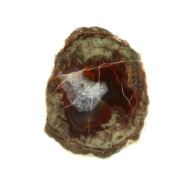 Sten og mineraler. Litofyse. 147,0 øre. Esterel-massivet, Var, Frankrig.