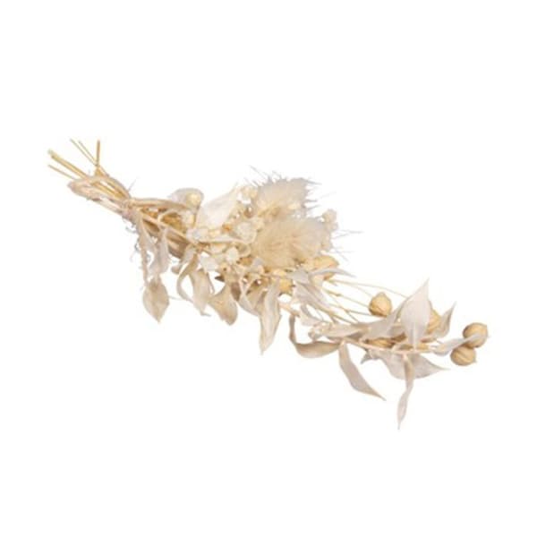Bukett vita torkade blommor Vit