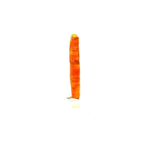 Cristal - ABIJOUX - Cyanite Orange - 1.58 ct - 19 x 2 x 2 mm - Certifikat for ægthed Orange