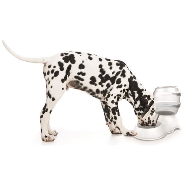 M-PETS Vandispenser Cylinder - 3500ml - Hvid - Til hunde Vit