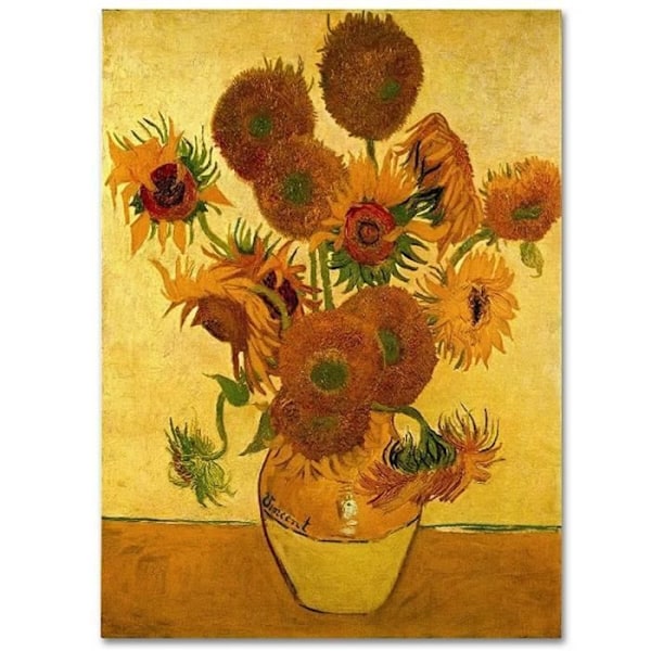 VAN GOGH puslespil - 2 ikoniske værker - 1000 brikker hver Flerfärgad