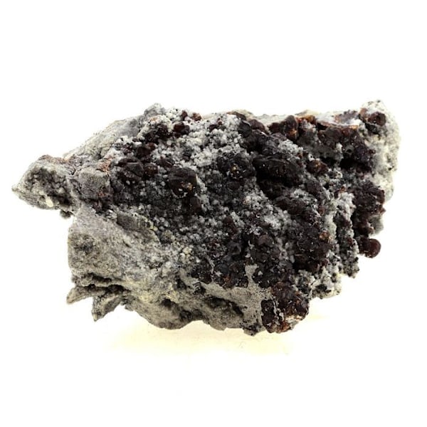 Sten og mineraler. Sphalerit (Blende). 1780,0 ct. Mechelen, Saint-Laurent-le-Minier, Occitanie, Frankrig.