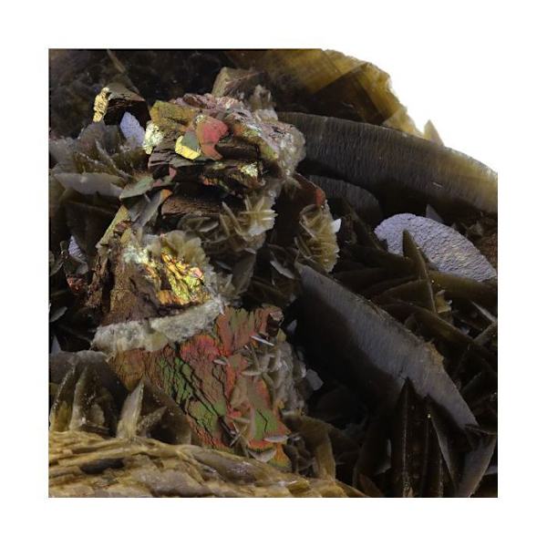 Siderit + Chalcopyrite 2675,1 karat