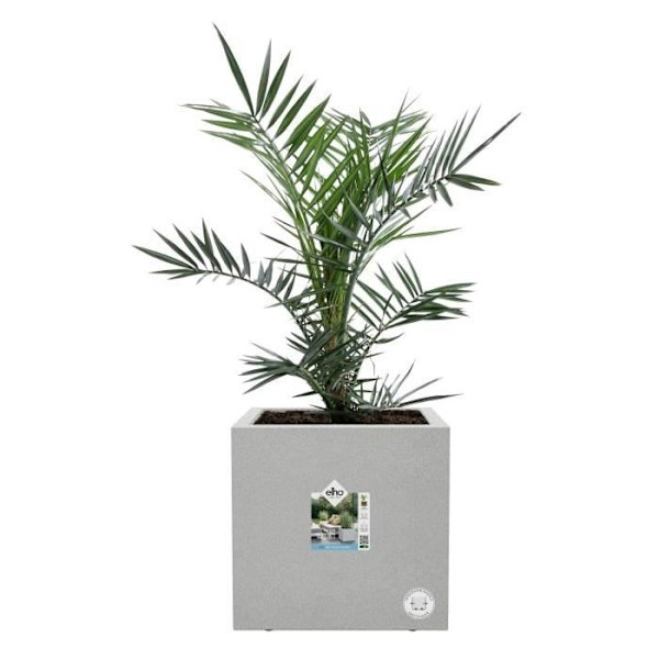 Elho Vivo Next Square 40 Blomsterkasse - Grå - Ø 39 x H 38 cm - indendørs - 100% genanvendt Levande cement