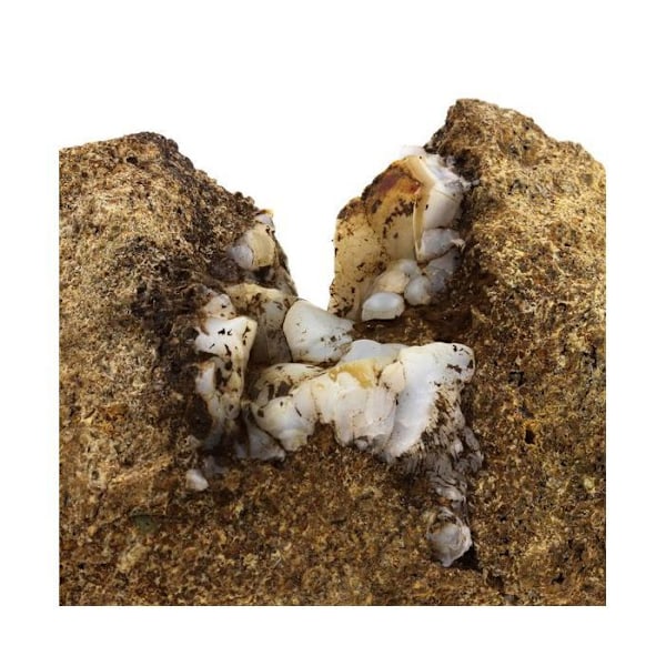 Lussatite (Opal-CT) 321,6 karat