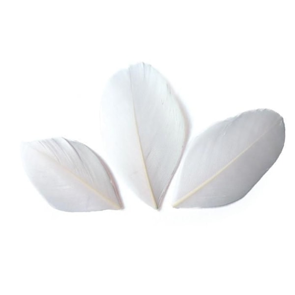 50 klippede fjer - Hvid 6 cm Vit