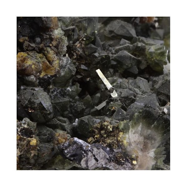 Sten og mineraler. Cubanite + Prase Quartz. 1292,0 øre. Trepca, Kosovo.