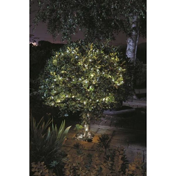 SMARDTV ulkona aurinkoseppele - Luciole 100 kylmävalkoinen LED - 11,9 m - metalli