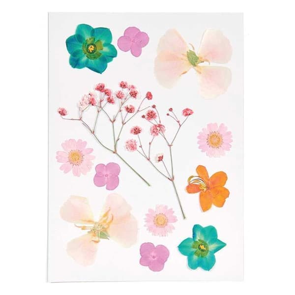 Tørrede og pressede blomster - Orange og turkis Turkos