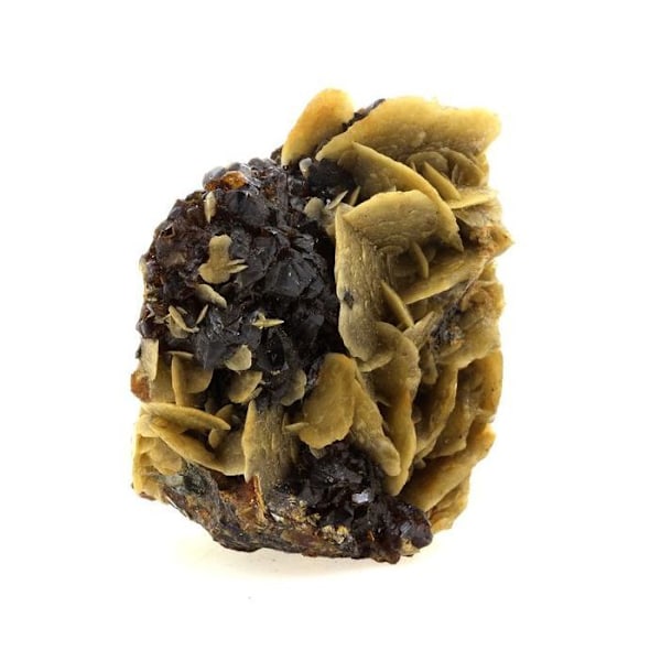 Stenar och mineraler. Sphalerit (Blende) + Siderit. 590,3 cent. La Mure, Isère, Frankrike. sällsynt.