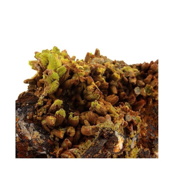 Sten og mineraler. Pyromorphit. 2222,5 øre. Les Farges Mine, Ussel, Frankrig..