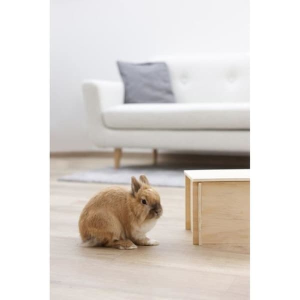 Hus til gnavere - Beige - Aftageligt tag - Enkel montering - Til hamster - KERBL