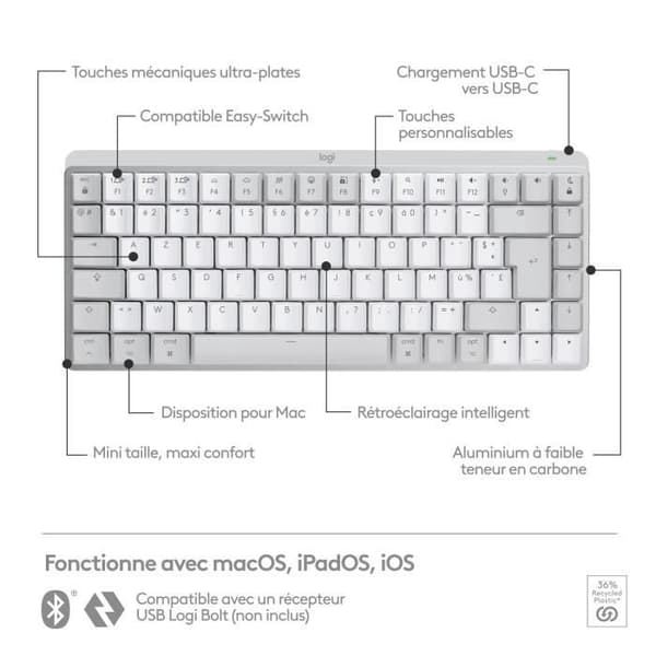 Tastatur - Trådløst - Logitech - MX Keys Mini - AZERTY - Baggrundsbelyst - Til Mac kompakt - Lysegrå